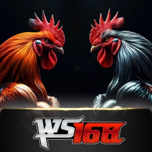 ws168